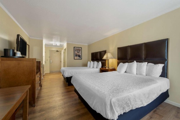 Best Western Plus Northwoods Inn image 17